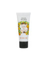 Clean Hands Gel │ Provence