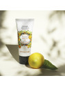 Clean Hands Gel │ Provence