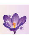 Anti-wrinkle Eye Care | Saffron